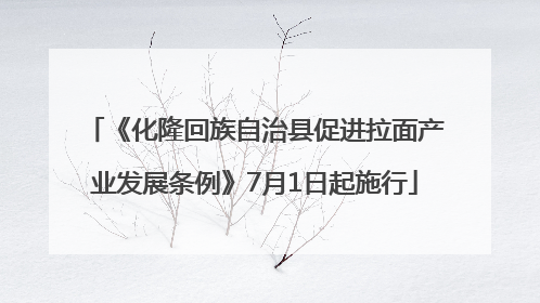 《化隆回族自治县促进拉面产业发展条例》7月1日起施行