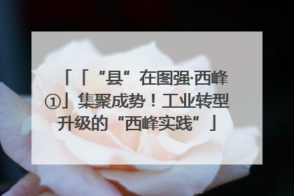 「“县”在图强·西峰①」集聚成势！工业转型升级的“西峰实践”