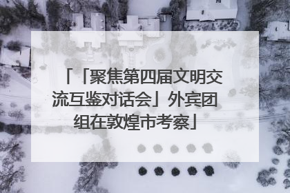 「聚焦第四届文明交流互鉴对话会」外宾团组在敦煌市考察