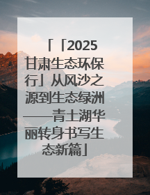 「2025甘肃生态环保行」从风沙之源到生态绿洲——青土湖华丽转身书写生态新篇