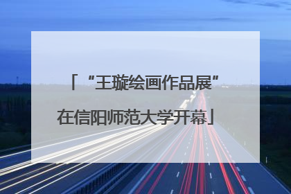 “王璇绘画作品展”在信阳师范大学开幕