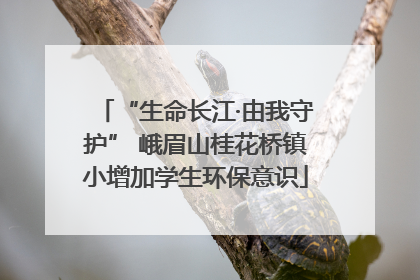 “生命长江·由我守护” 峨眉山桂花桥镇小增加学生环保意识