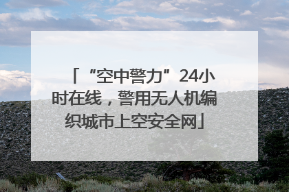 “空中警力”24小时在线，警用无人机编织城市上空安全网