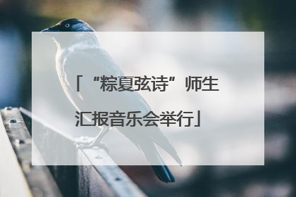 “粽夏弦诗”师生汇报音乐会举行