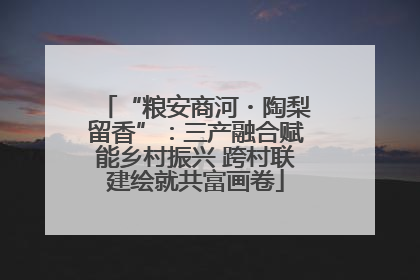 “粮安商河・陶梨留香”：三产融合赋能乡村振兴 跨村联建绘就共富画卷