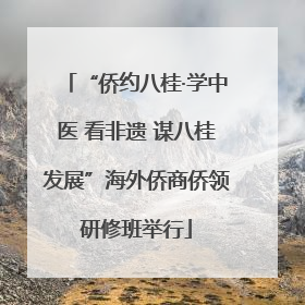 “侨约八桂·学中医 看非遗 谋八桂发展”海外侨商侨领研修班举行