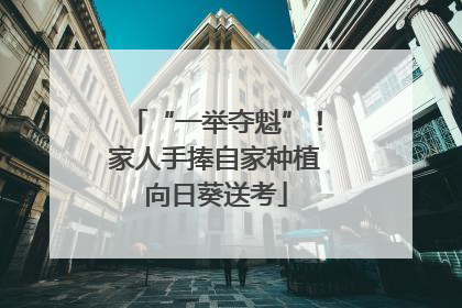 “一举夺魁”！家人手捧自家种植向日葵送考