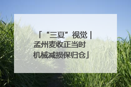 “三夏”视觉｜孟州麦收正当时 机械减损保归仓