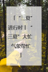 “三夏”进行时丨“三夏”大忙 气象帮忙
