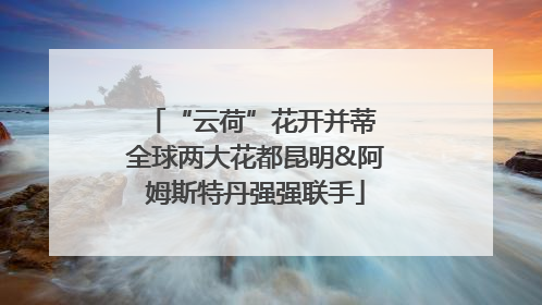 “云荷”花开并蒂 全球两大花都昆明&阿姆斯特丹强强联手