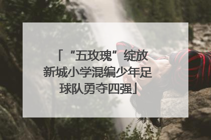 “五玫瑰”绽放 新城小学混编少年足球队勇夺四强