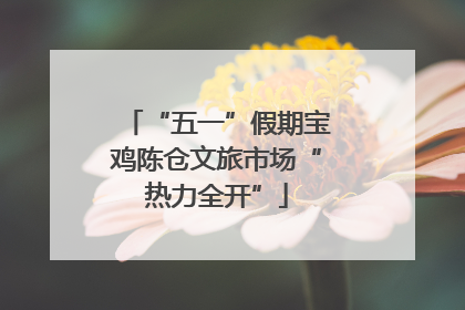 “五一”假期宝鸡陈仓文旅市场“热力全开”