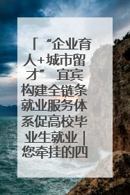 “企业育人+城市留才” 宜宾构建全链条就业服务体系促高校毕业生就业｜您牵挂的四川