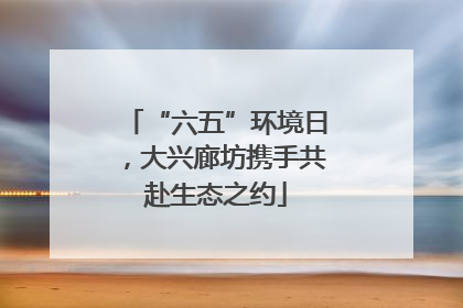 “六五”环境日，大兴廊坊携手共赴生态之约
