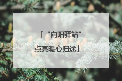 “向阳驿站”点亮暖心归途
