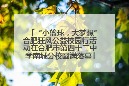 “小篮球，大梦想”合肥狂风公益校园行活动在合肥市第四十二中学南城分校圆满落幕