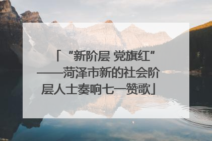 “新阶层 党旗红”——菏泽市新的社会阶层人士奏响七一赞歌