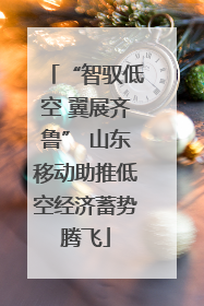 “智驭低空 翼展齐鲁” 山东移动助推低空经济蓄势腾飞