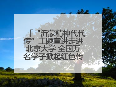 “沂蒙精神代代传”主题宣讲走进北京大学 全国万名学子掀起红色传承热潮