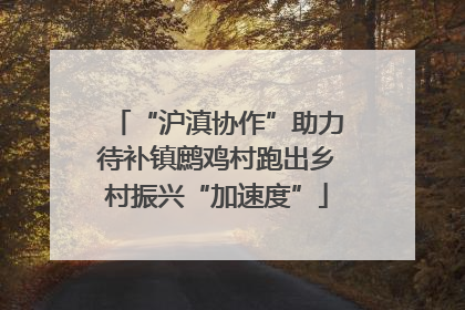 “沪滇协作”助力待补镇鹧鸡村跑出乡村振兴“加速度”