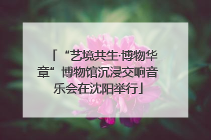 “艺境共生·博物华章”博物馆沉浸交响音乐会在沈阳举行