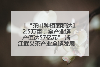 “茶叶种植面积达12.5万亩，全产业链产值达57亿元” 浙江武义茶产业全链发展“加速度”