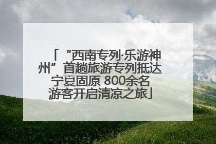 “西南专列·乐游神州”首趟旅游专列抵达宁夏固原 800余名游客开启清凉之旅