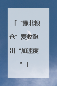 “豫北粮仓”麦收跑出“加速度”