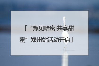 “豫见哈密·共享甜蜜”郑州站活动开启