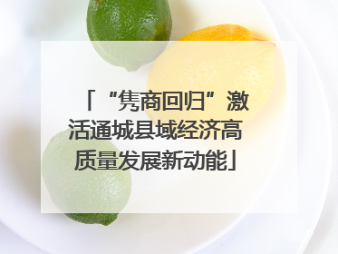 “隽商回归”激活通城县域经济高质量发展新动能
