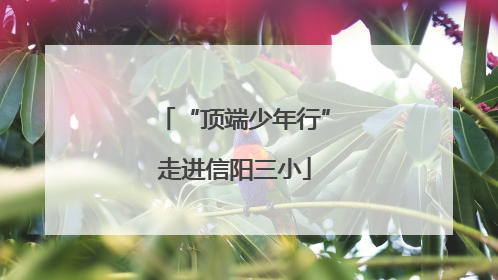 “顶端少年行”走进信阳三小