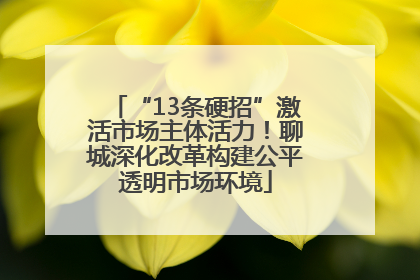 “13条硬招”激活市场主体活力！聊城深化改革构建公平透明市场环境
