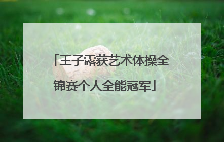 王子露获艺术体操全锦赛个人全能冠军