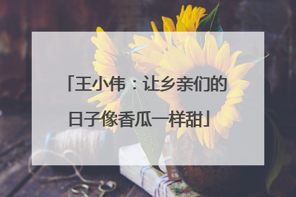 王小伟：让乡亲们的日子像香瓜一样甜