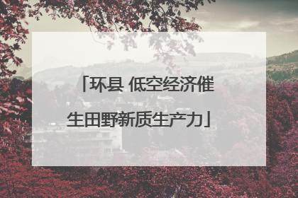 环县 低空经济催生田野新质生产力