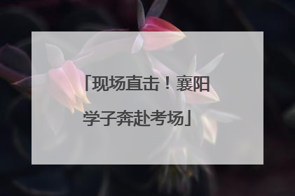 现场直击！襄阳学子奔赴考场