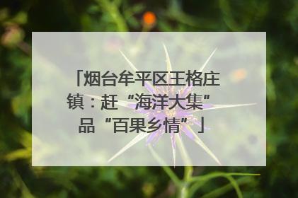 烟台牟平区王格庄镇：赶“海洋大集” 品“百果乡情”