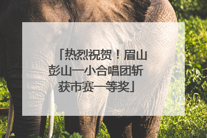 热烈祝贺！眉山彭山一小合唱团斩获市赛一等奖