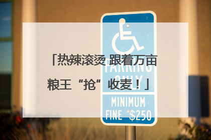 热辣滚烫 跟着万亩粮王“抢”收麦！
