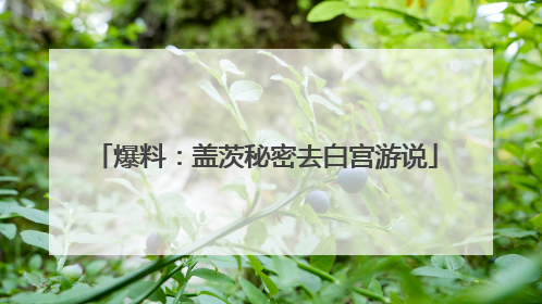爆料：盖茨秘密去白宫游说
