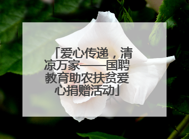 爱心传递，清凉万家——国聘教育助农扶贫爱心捐赠活动