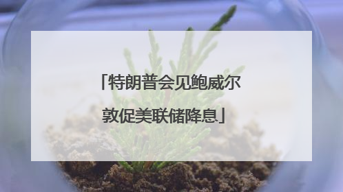 特朗普会见鲍威尔 敦促美联储降息