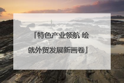 特色产业领航 绘就外贸发展新画卷