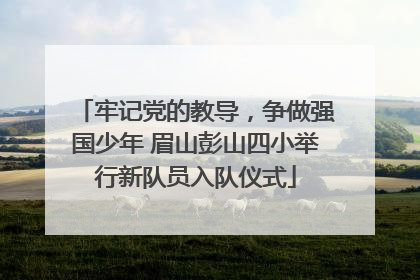 牢记党的教导，争做强国少年 眉山彭山四小举行新队员入队仪式