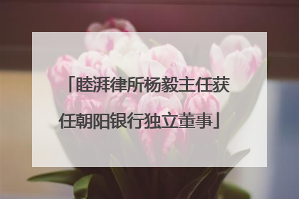 睦湃律所杨毅主任获任朝阳银行独立董事