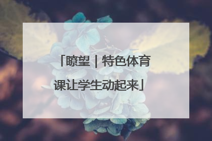 瞭望｜特色体育课让学生动起来