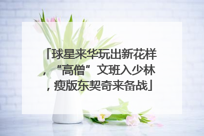 球星来华玩出新花样，“高僧”文班入少林，瘦版东契奇来备战