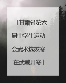 甘肃省第六届中学生运动会武术选拔赛在武威开赛