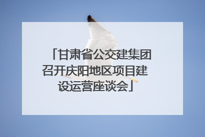 甘肃省公交建集团召开庆阳地区项目建设运营座谈会