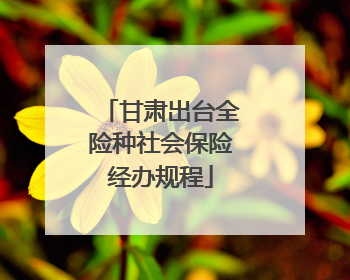 甘肃出台全险种社会保险经办规程